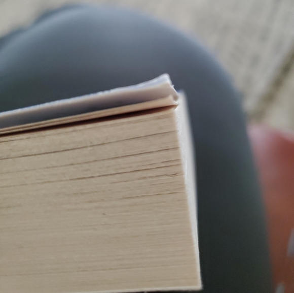 Cape Sanctuary Series: The Path to Sunshine Cove by Raeanne Thayne - Picture 2 of 6